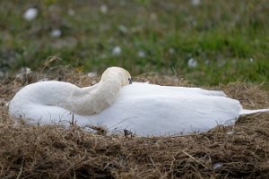 DSC_0020_25-04-12_170944