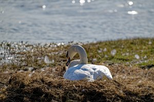 DSC_9834_25-04-12_162949