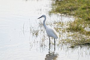 DSC_9878_25-04-12_163548