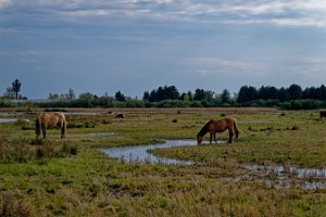DSC_9924_25-04-12_164047