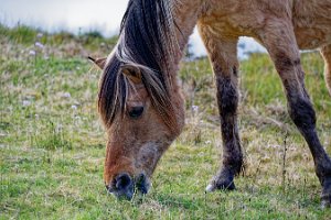 DSC_9946_25-04-12_164256
