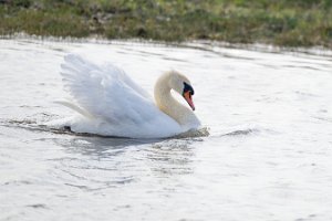 DSC_9971_25-04-12_164653