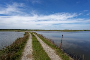 _NZ71510_25-04-12_125101