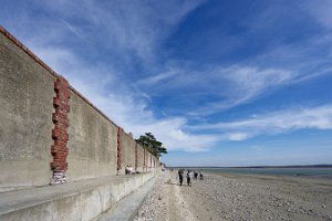 _NZ71521_25-04-12_152112