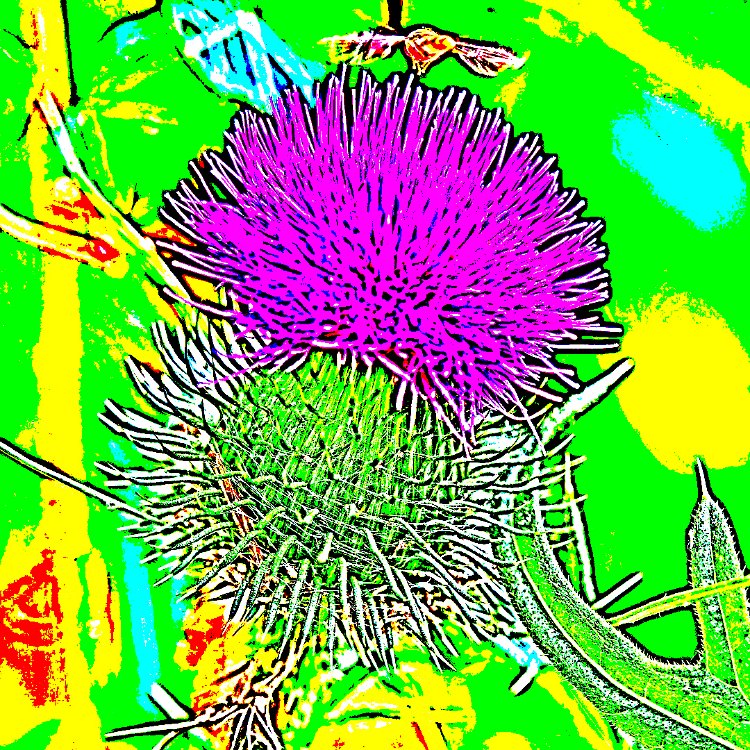 7